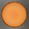 Светильник Citilux CL753452G