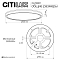 Светильник Citilux CL749321