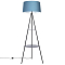 Торшер Citilux CL806023