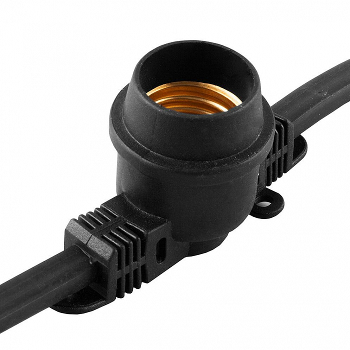 FERON 29881